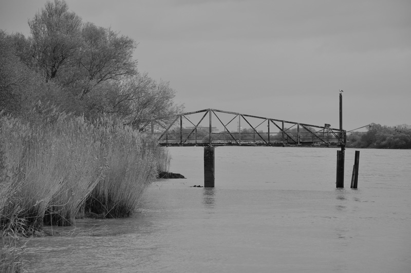DSC_6711.JPG