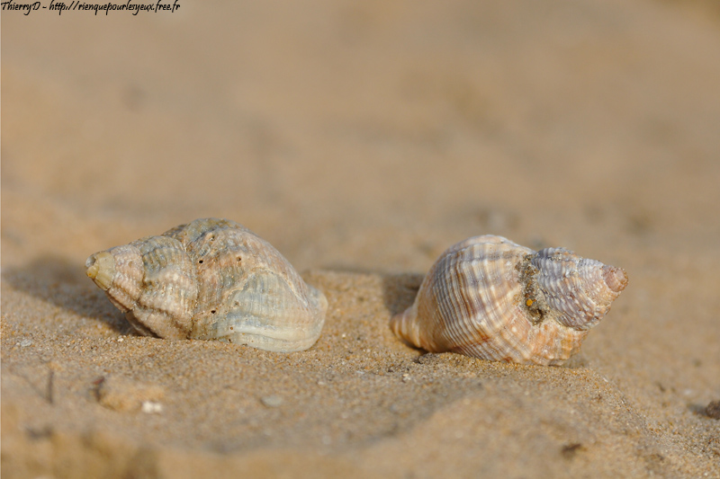 DSC_3758.jpg