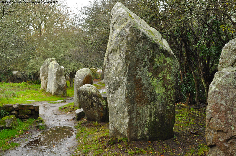 DSC_4102.jpg