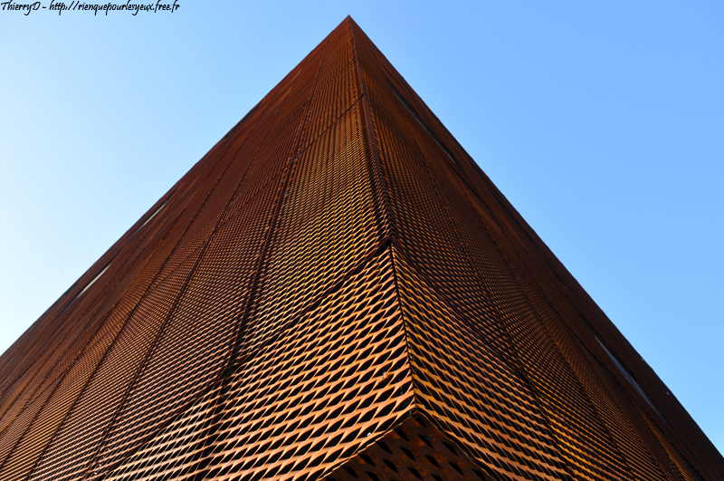 DSC_5133.jpg