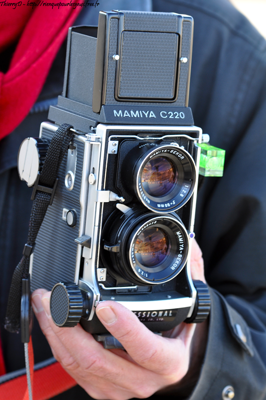 DSC_5147.jpg