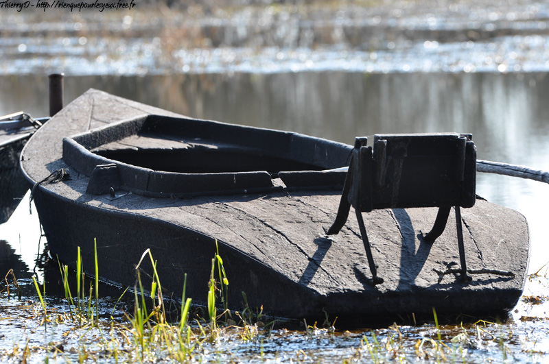 DSC_5813.jpg