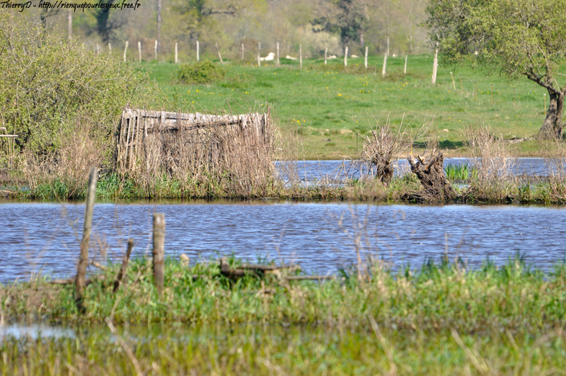 DSC_6139.jpg