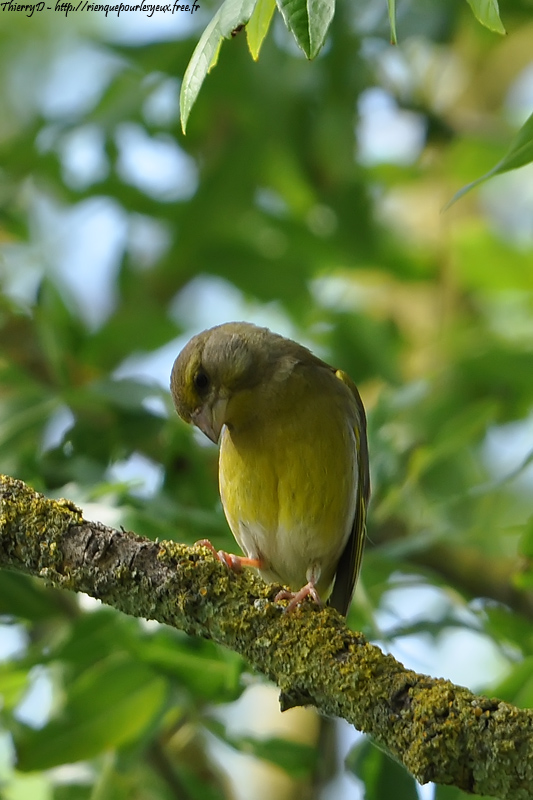 DSC_8751.jpg