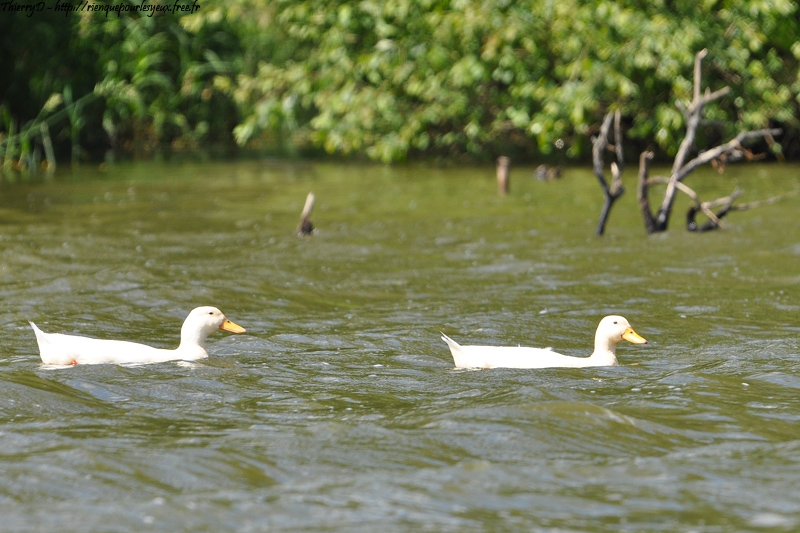DSC_8999.jpg