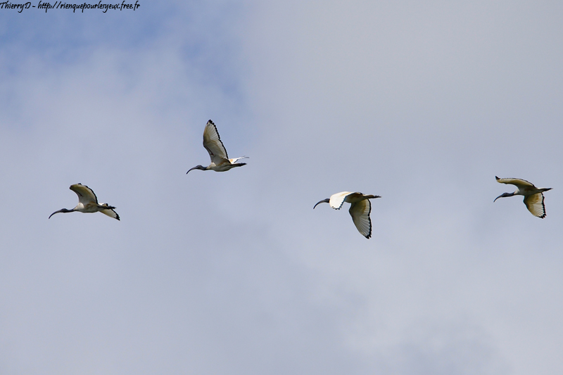 DSC_9018.jpg