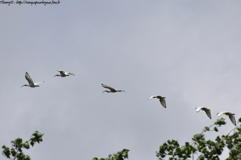 DSC_9020.jpg