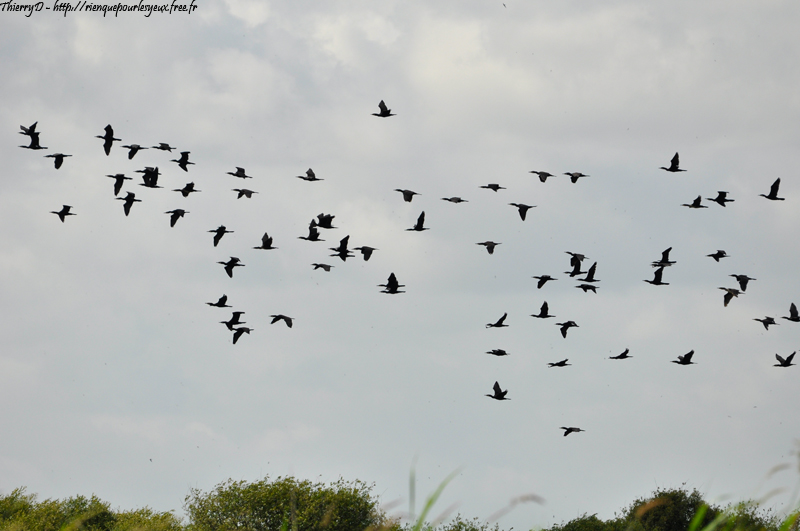 DSC_9139.jpg