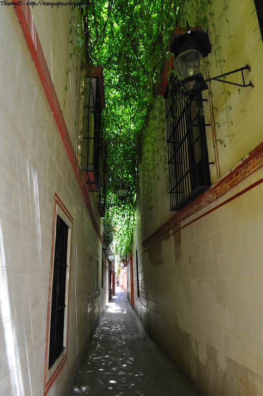 DSC_2255.jpg