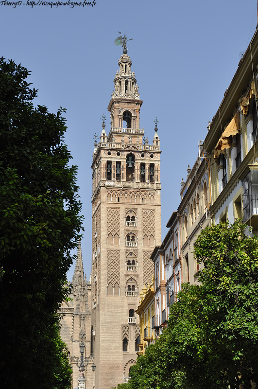DSC_2418.jpg