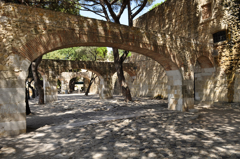 DSC_4408.jpg