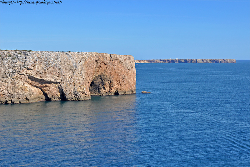 DSC_4649.jpg
