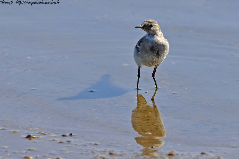 DSC_5820.jpg