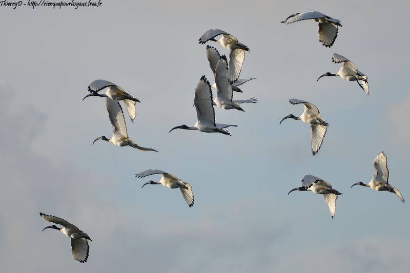 DSC_1561.jpg