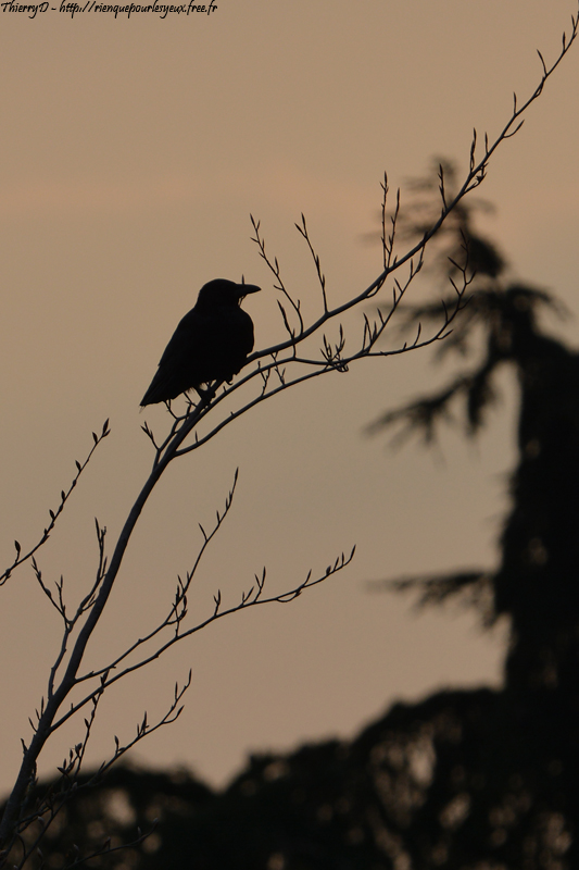 DSC_0396.jpg