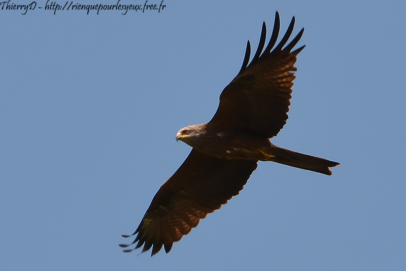 DSC_2025.jpg