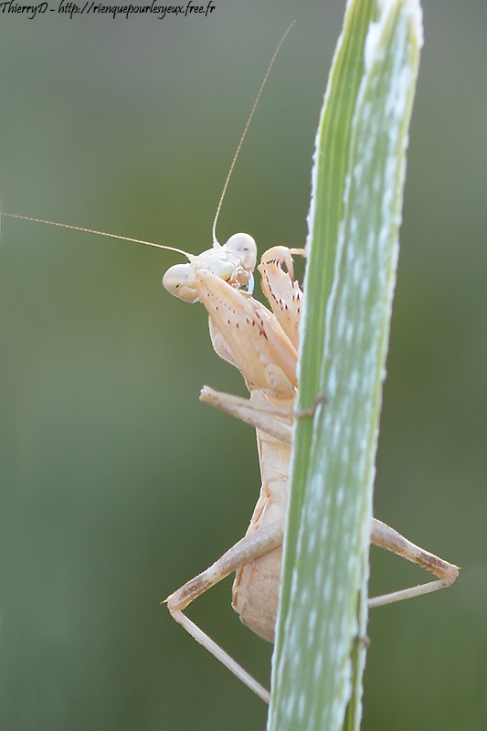 DSC_7237.jpg