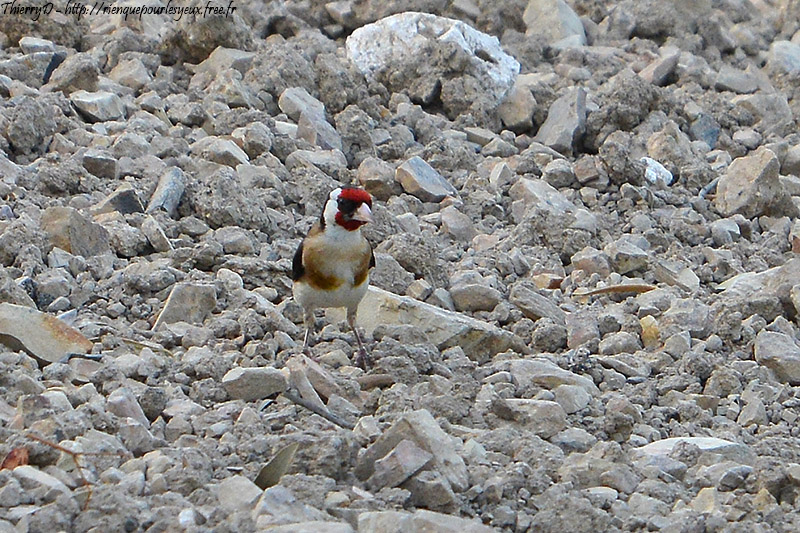 DSC_6359.jpg