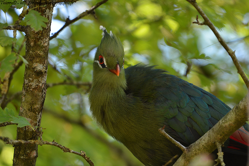 DSC_1242.jpg