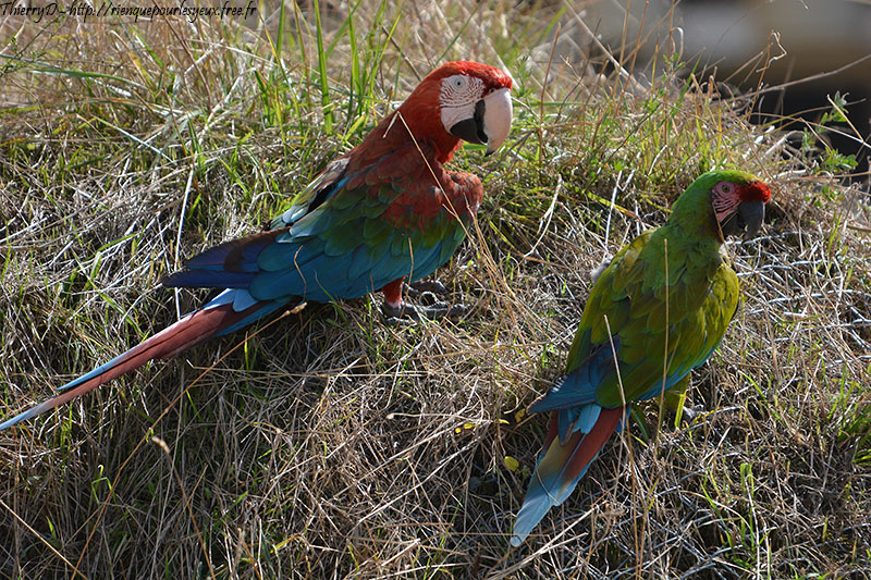 DSC_0798.jpg
