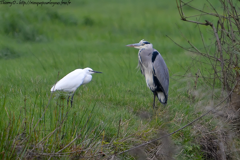 DSC_2707.jpg