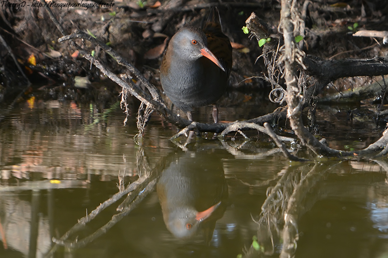 DSC_3429.jpg
