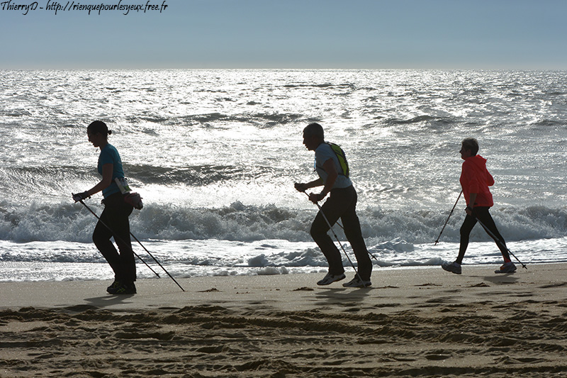 DSC_3513.jpg