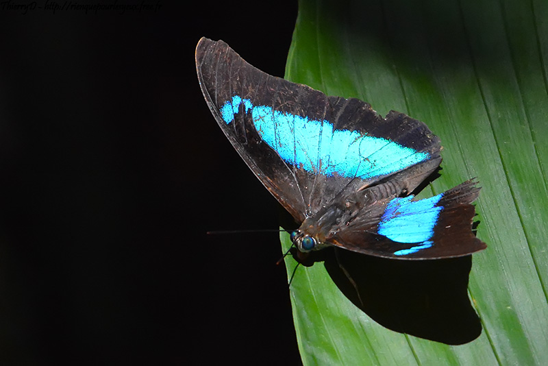 DSC_5851.jpg
