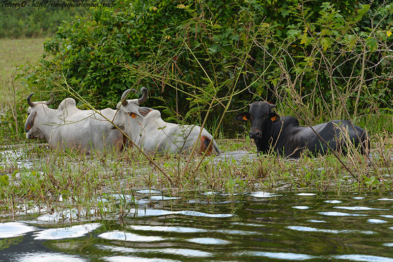 DSC_7026.jpg