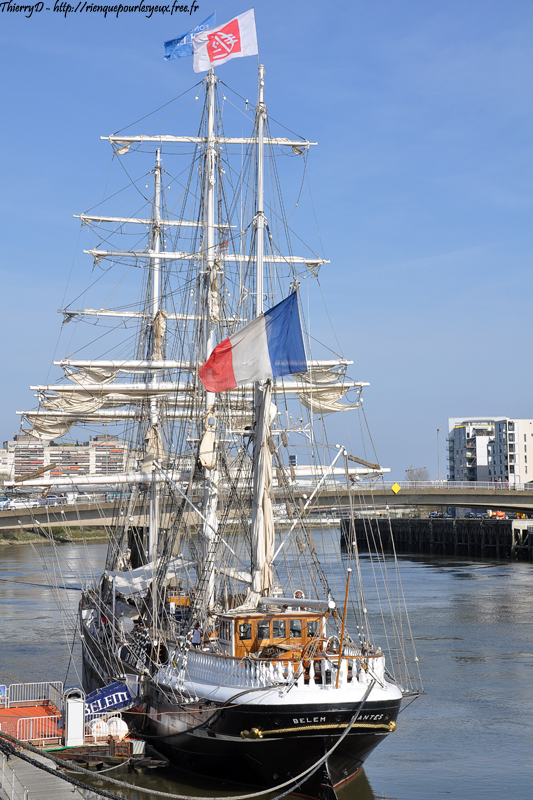 DSC_0619.jpg