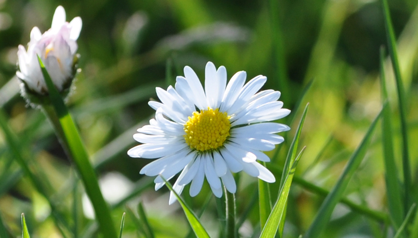 F5.6.jpg
