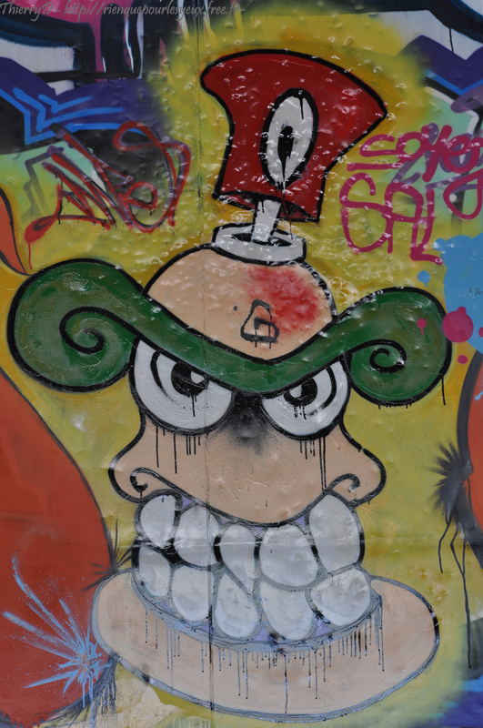 DSC_4022.jpg