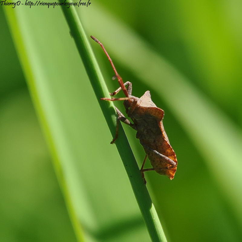 DSC_6618.jpg