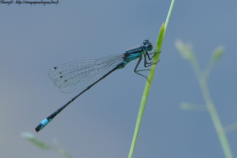DSC_6759.jpg