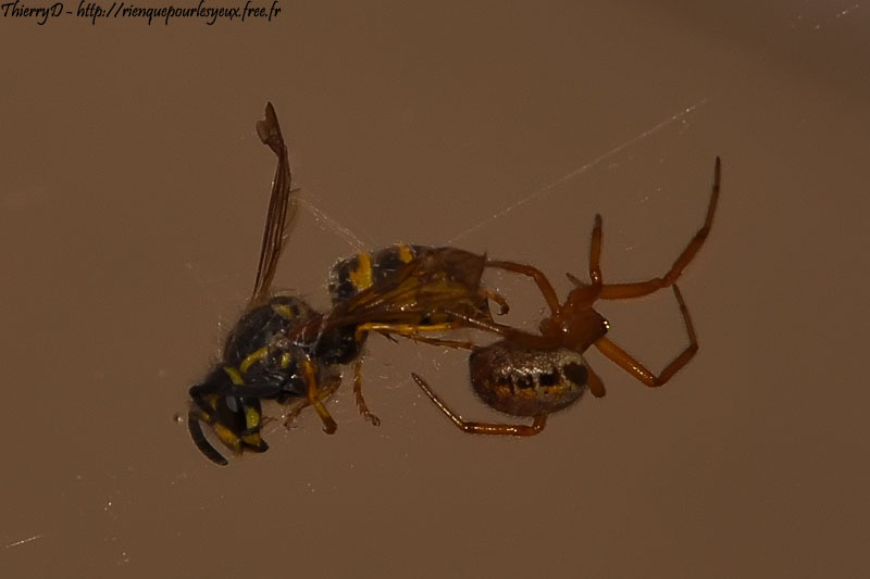 DSC_9380.jpg